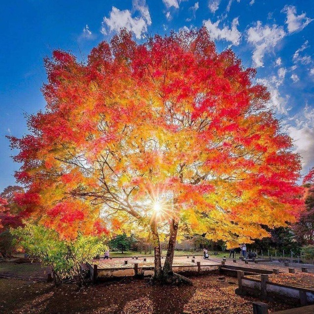 photo activite Coaching en Confiance