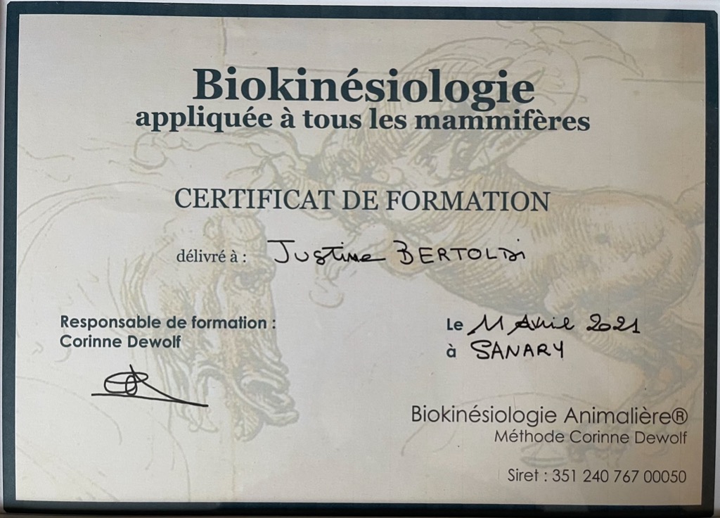 photo diplome Justine Bertoldi