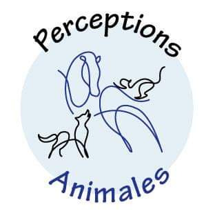 photo cabinet Perceptions Animales