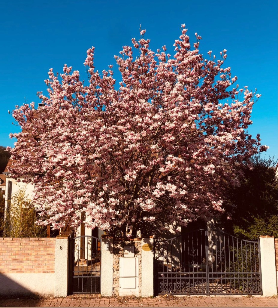 photo cabinet Les soins de Maureen