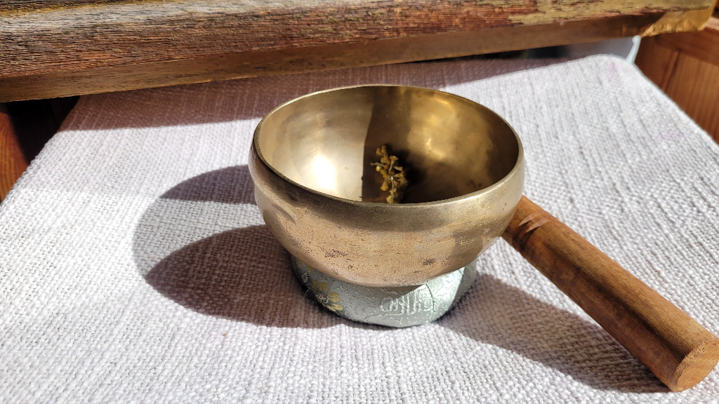 photo diplome Perrine Lerévérend