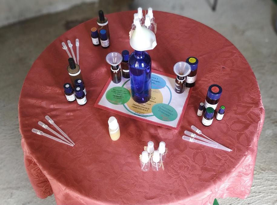 photo activite Ghyslaine Allard 