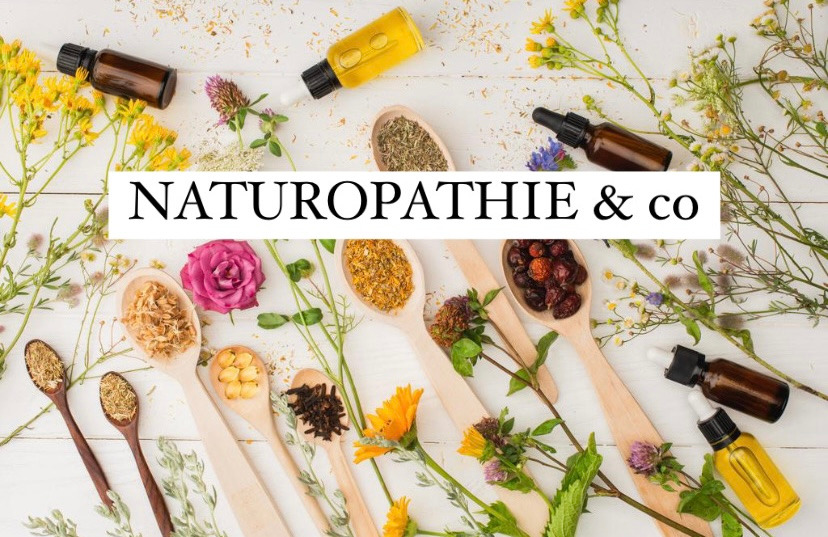 photo activite Schneider Emilie 