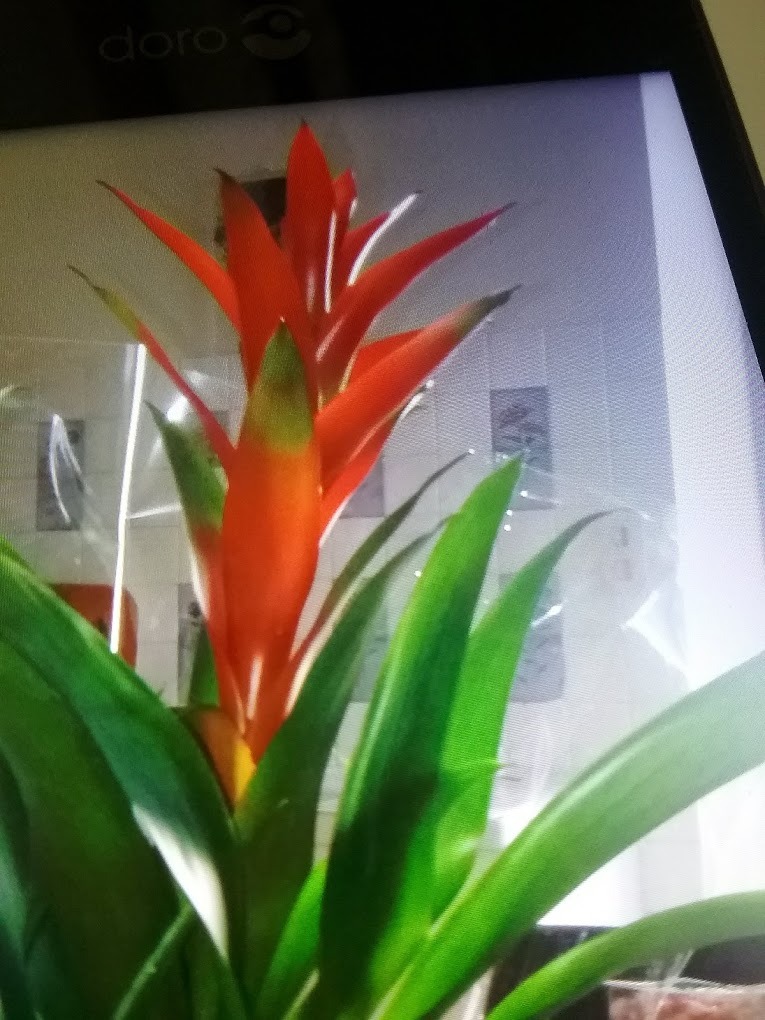 photo activite Valérie HOURDILLE 