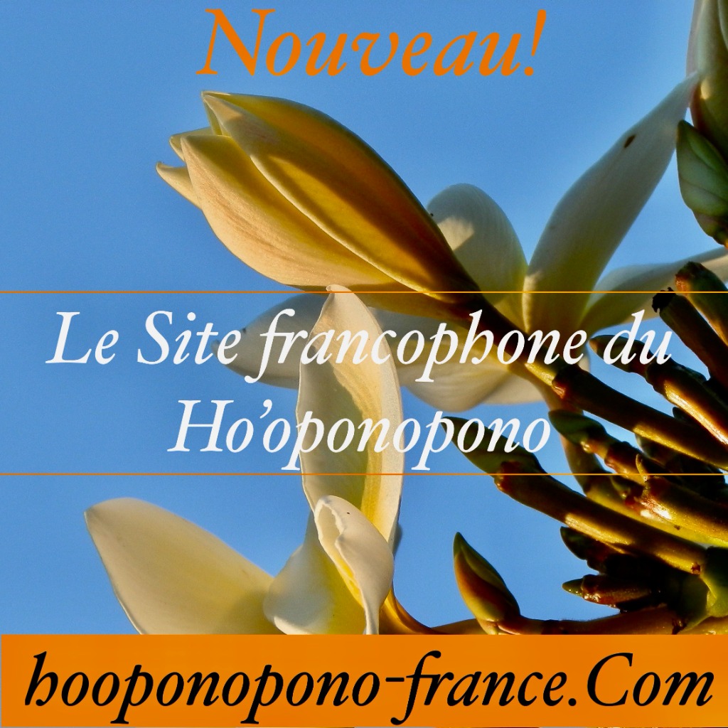 photo diplome Patrice Julien