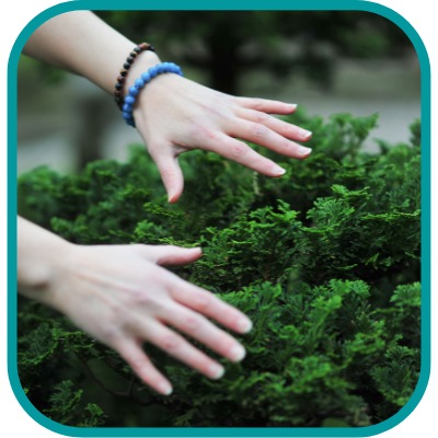 photo activite Aurélia SUPPO