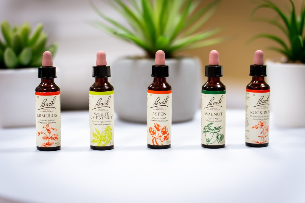 photo activite Sophie ALPHONSE