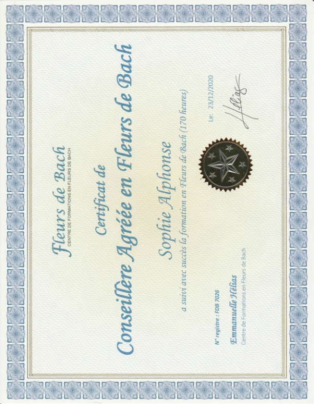 photo diplome Sophie ALPHONSE