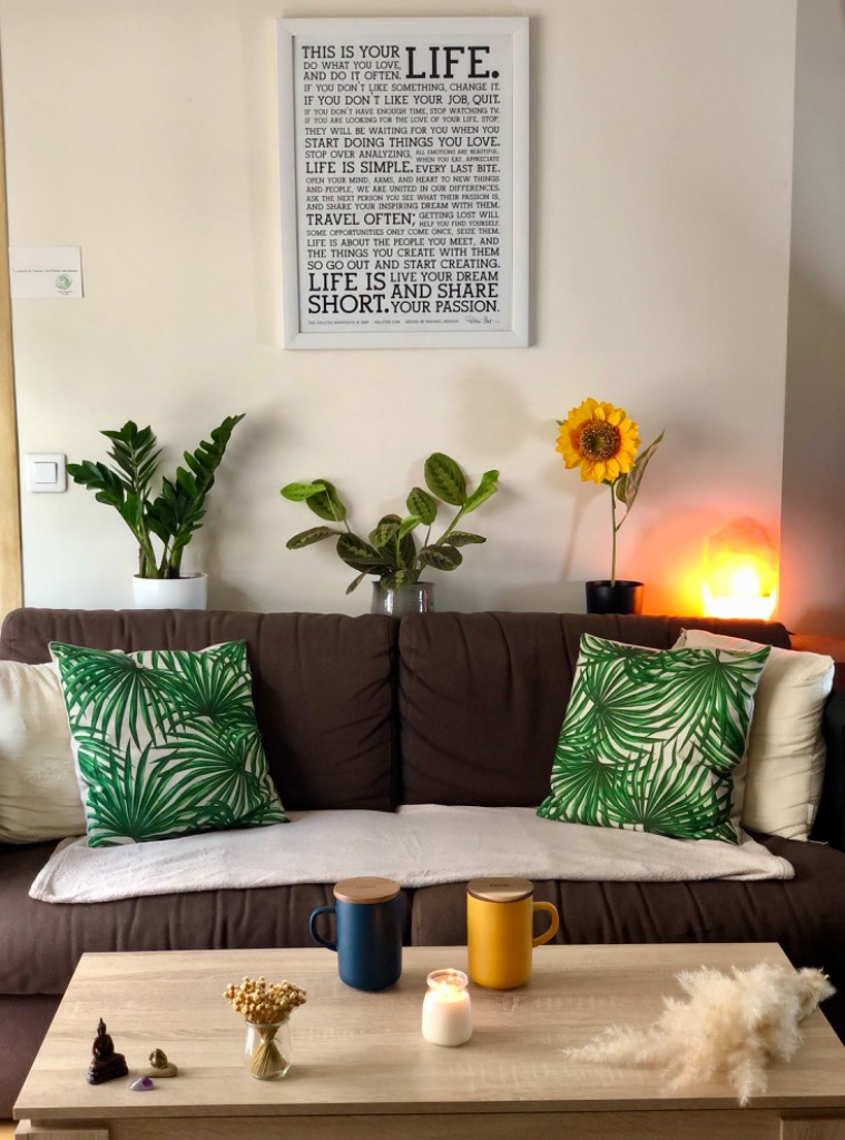 photo cabinet Alexia KARAKO