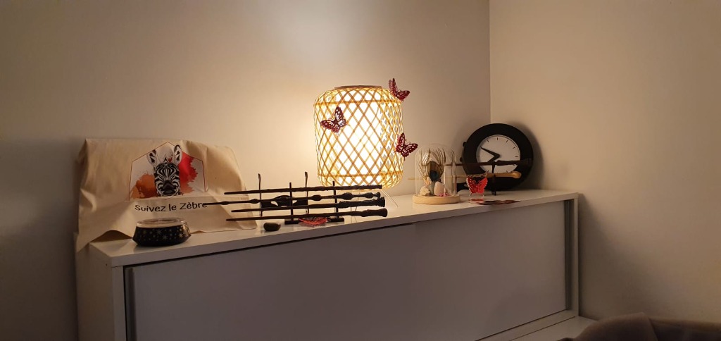 photo cabinet GALLIEN Georges