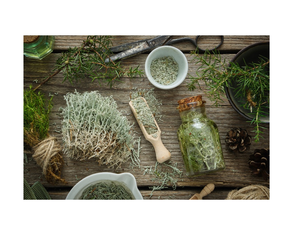 photo activite Laetitia Morel