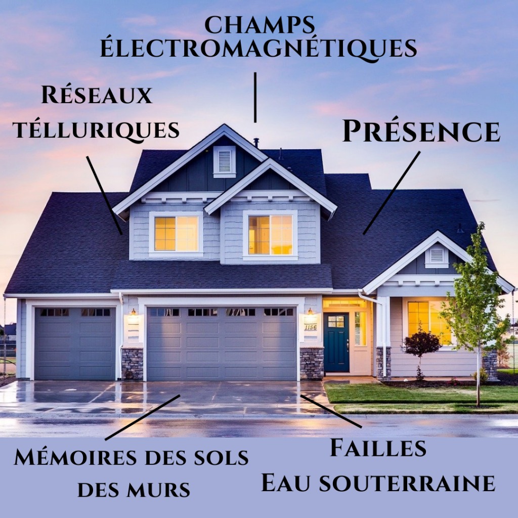 photo seance Les champs de Gaïa 