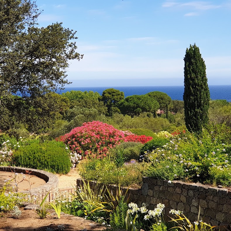 photo cabinet Nathalie Filippi-Paoli