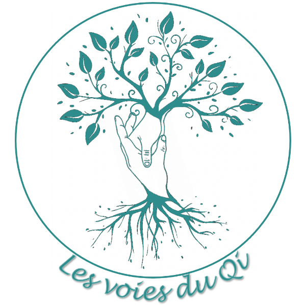 Les Voies du Qi 