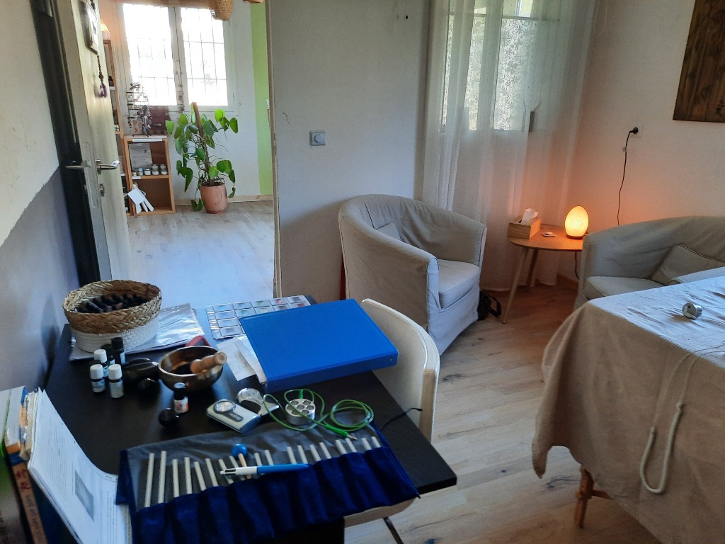 photo diplome Isabelle FEVRIER