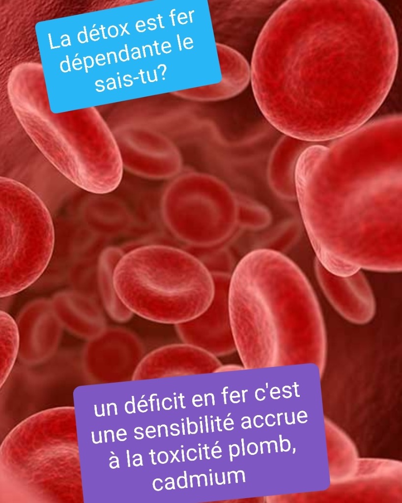 photo diplome Naturo Ma Passion