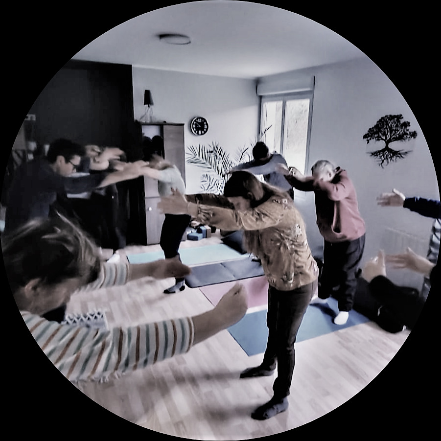 photo activite Bertrand Demogue