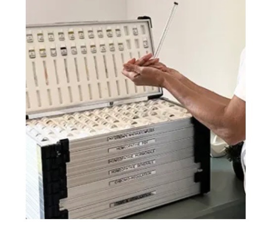 photo activite Djamila BLANCART BENABDALLAH