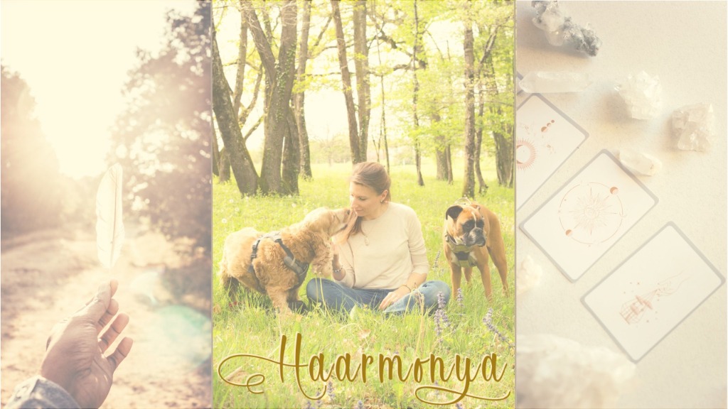 photo seance Haarmonya