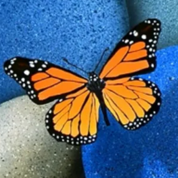 Magnétisme & Energie