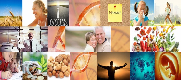 photo activite Amélie Guillot