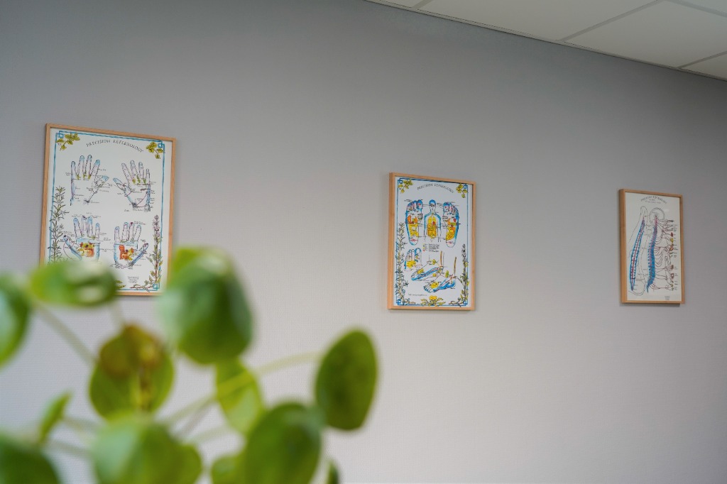 photo cabinet Bérénice IZARD