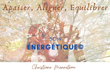 photo activite Christiane Menneteau Energéticienne