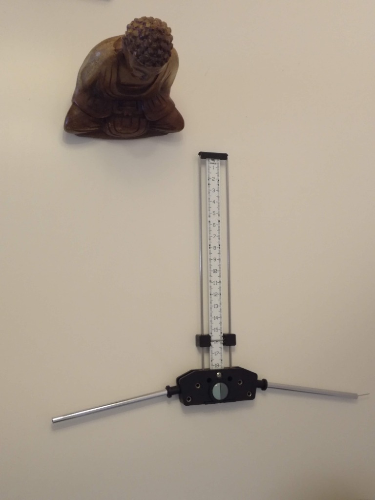 photo activite Sylvie Larrue