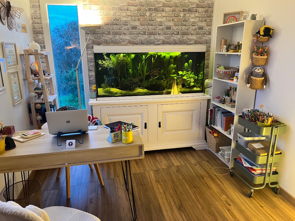 photo cabinet Anne-Sophie Marchal