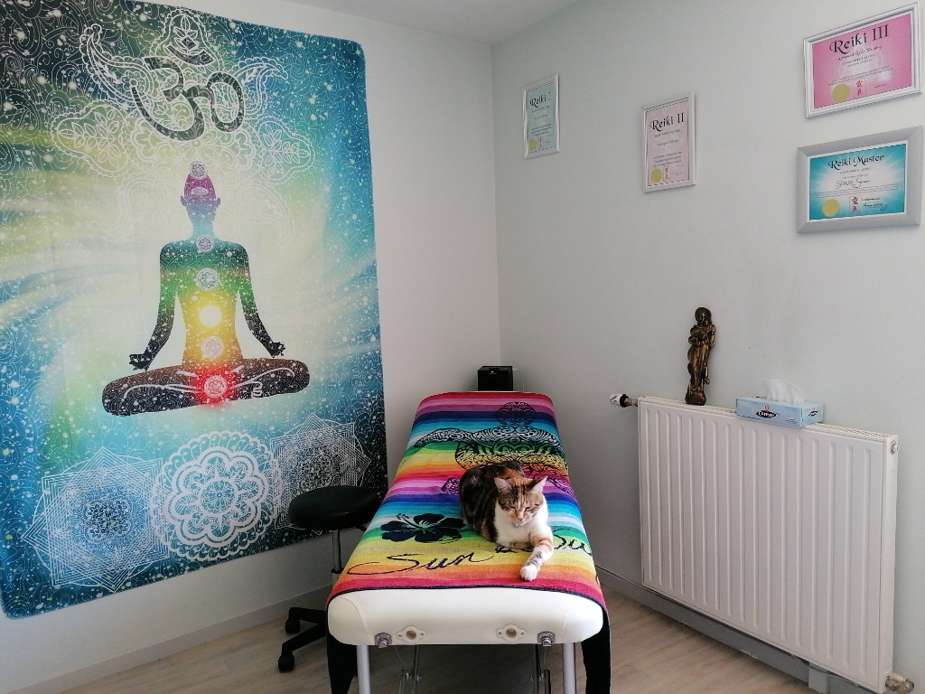 photo cabinet Severine Gahery