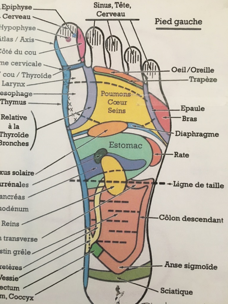 photo activite ISABELLE RICHON