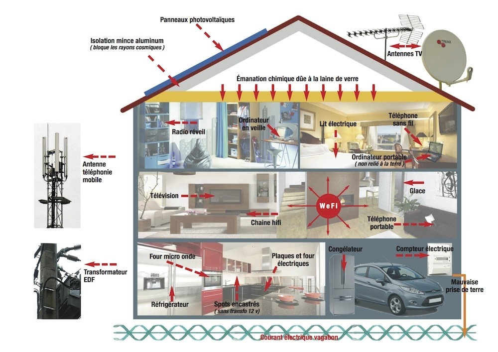 photo seance GEOBIOLOGIE.CEMUEL