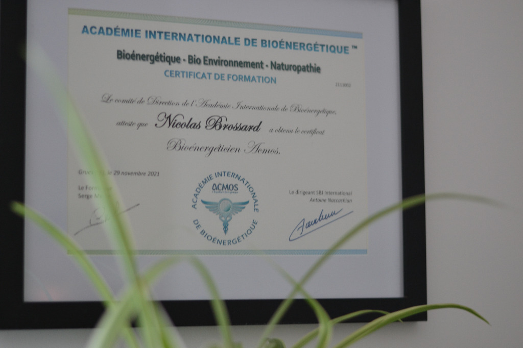 photo diplome Nicolas Brossard Bioénergéticien ACMOS - Allergies