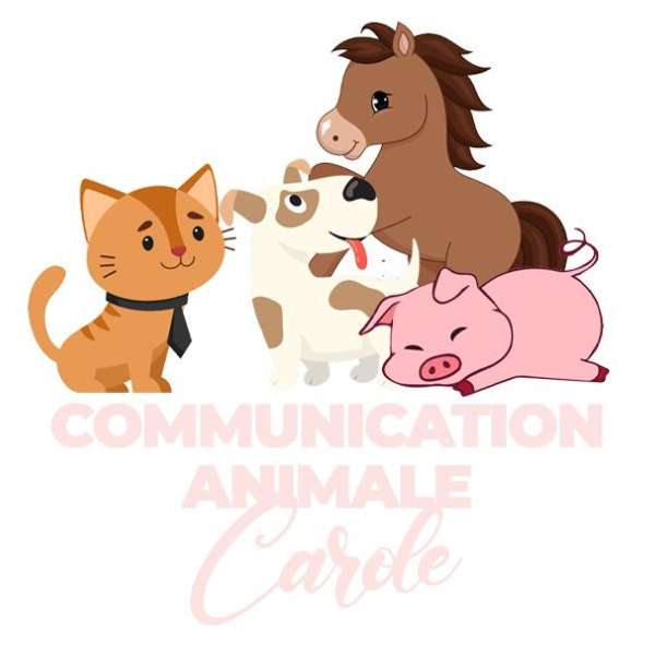 Carole communication animale 