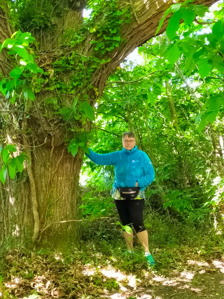 photo activite Véronique Blanchet