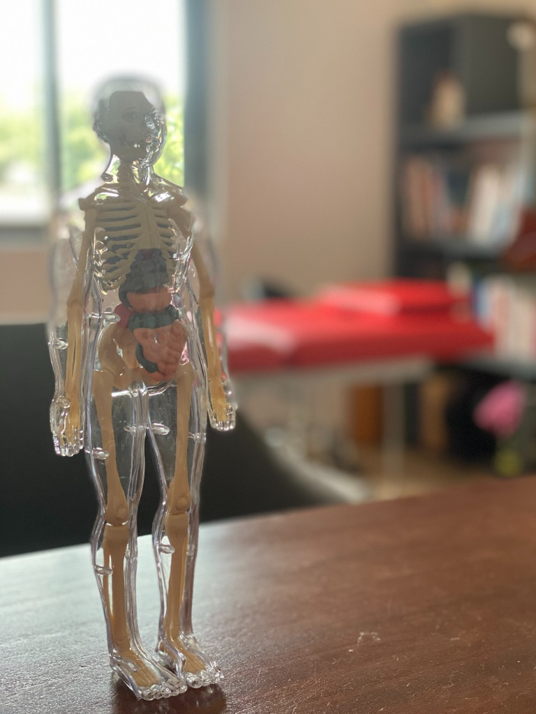 photo cabinet Emilie LAFITTE