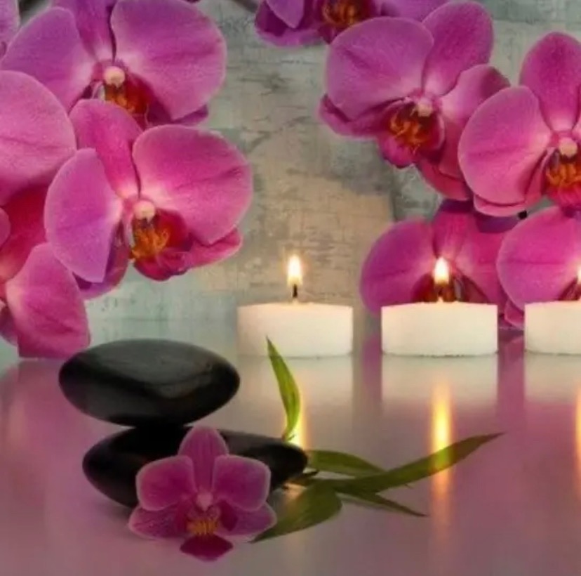 photo seance Laëtitia B réflexologue Palmaire & Plantaire