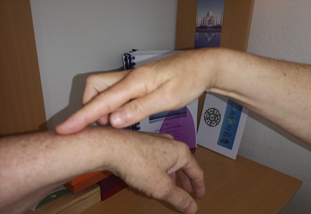 photo activite Sandrine Lagrolle