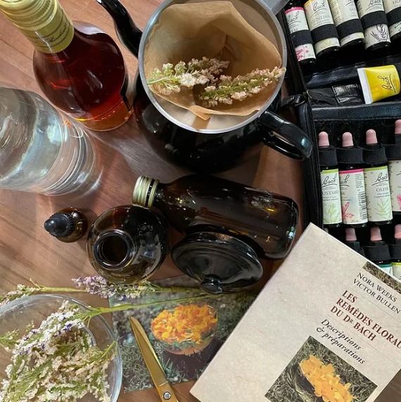 photo activite Nathalie Auzeméry