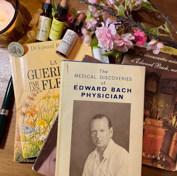 photo portrait Nathalie Auzeméry