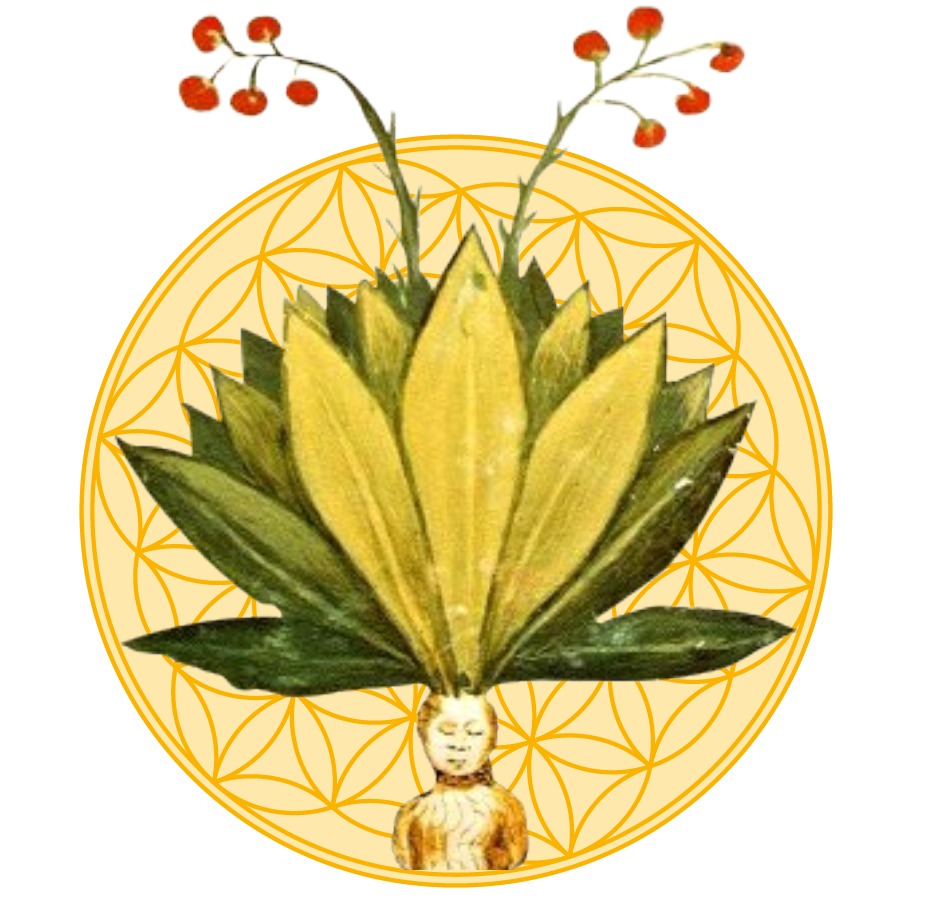 photo seance Maïwenn Pirastru