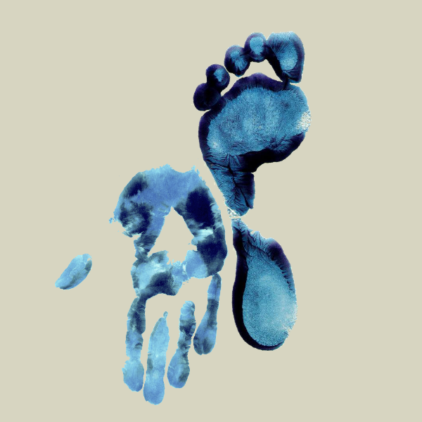 Lucile DEGEORGE - ReflexoLu