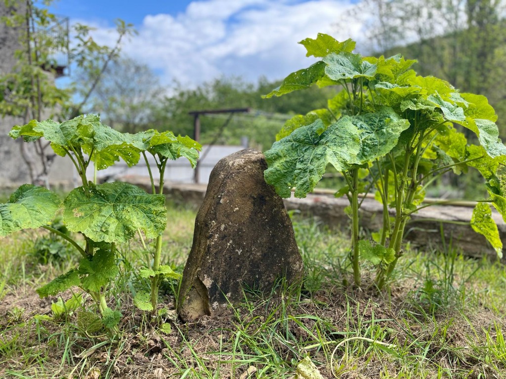 photo diplome TEDESCO Frédéric