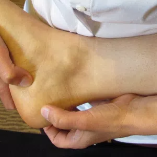 Christel DALBOUSSIERE