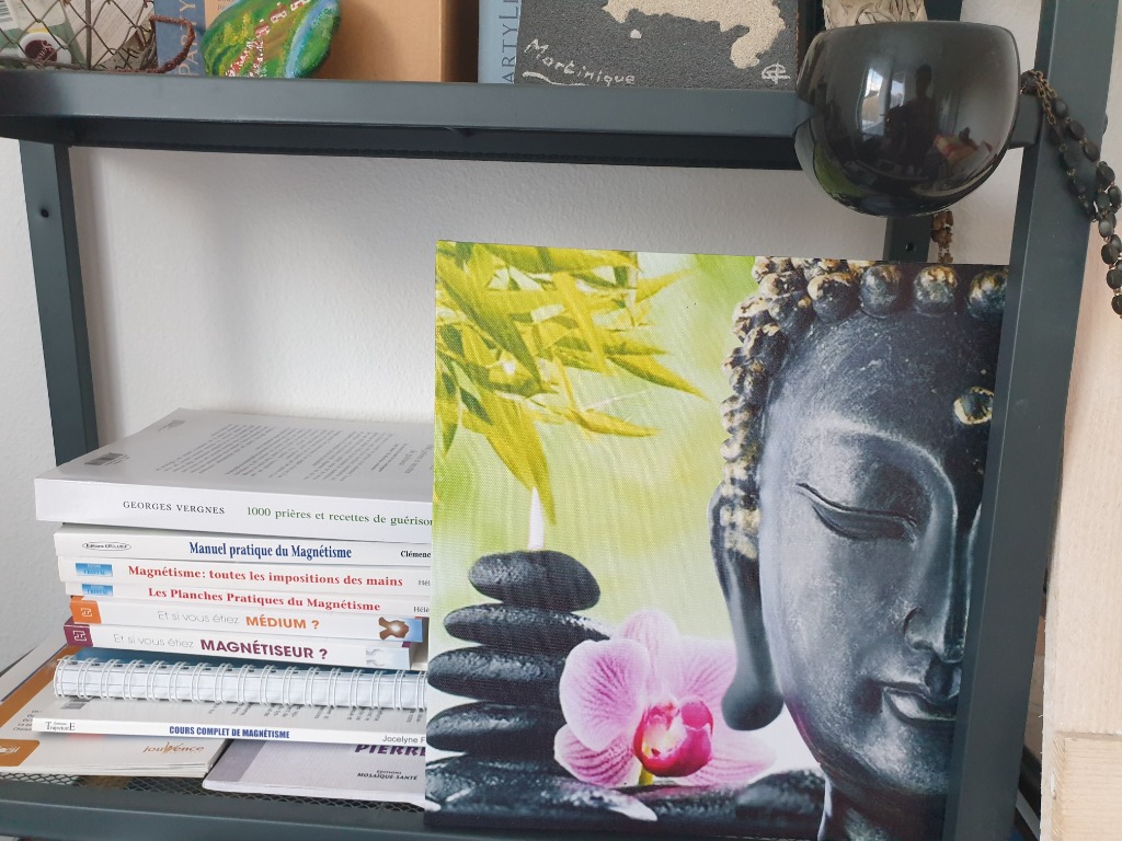 photo activite MAGNETISME SAB