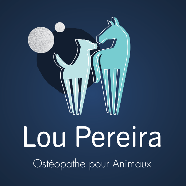Lou Pereira - Ostéopathe pour animaux à domicile