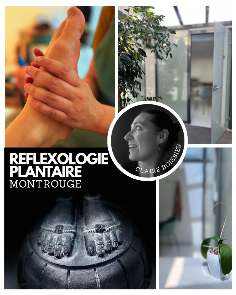 photo activite Claire Boissier