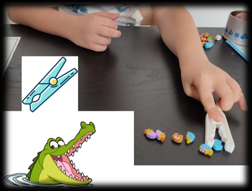 photo activite Laurence FERRY