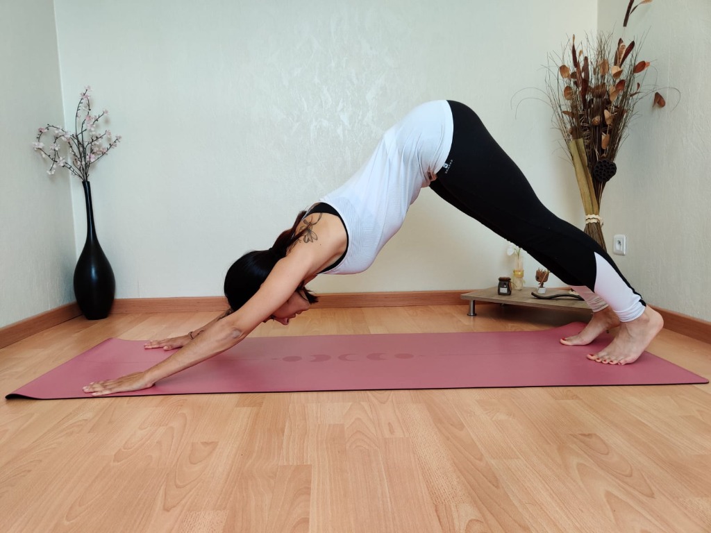 photo activite Vanessa Le Tadic