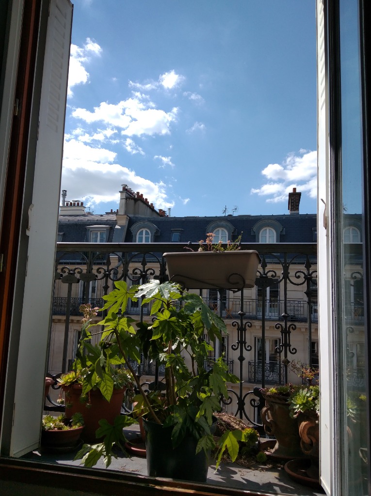 photo activite Marine Ponelle